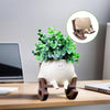 BlissBloom™ - Smily Face Planter [Last Day Discount]