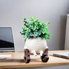 BlissBloom™ - Smily Face Planter [Last Day Discount]