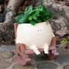 BlissBloom™ - Smily Face Planter [Last Day Discount]