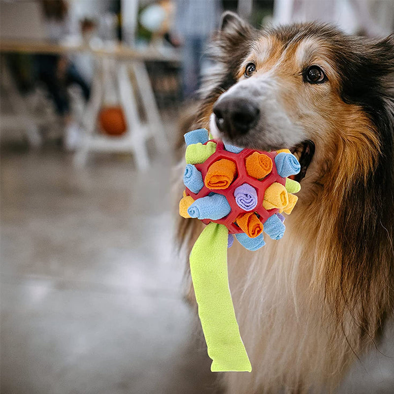 Sniffing Ball™ - Hours of fun and activity [Last day discount]