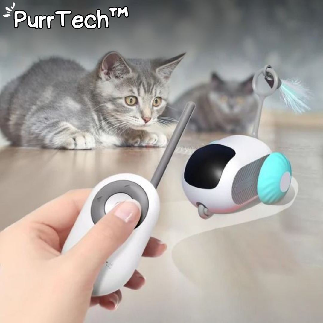 PurrTech | Interactive Cat Toys [Last Day Discount]