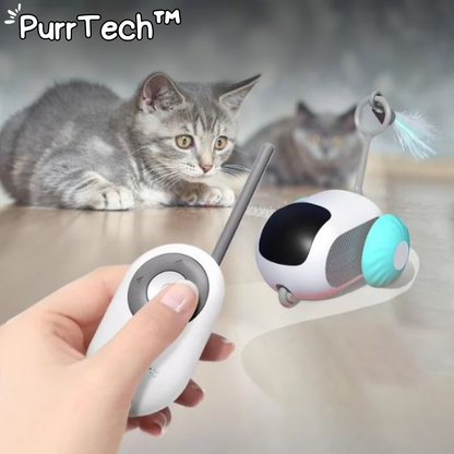 Interactive cat toys