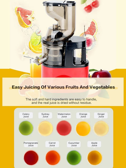 Fully automatic juice press