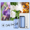 Pocket diffsuer™ - Wall-mounted automatic fragrance dispenser [Last day discount] 