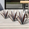 EternalAgave™ - Waterproof Eternal Agave Rustic Sculpture [Last Day Discount]