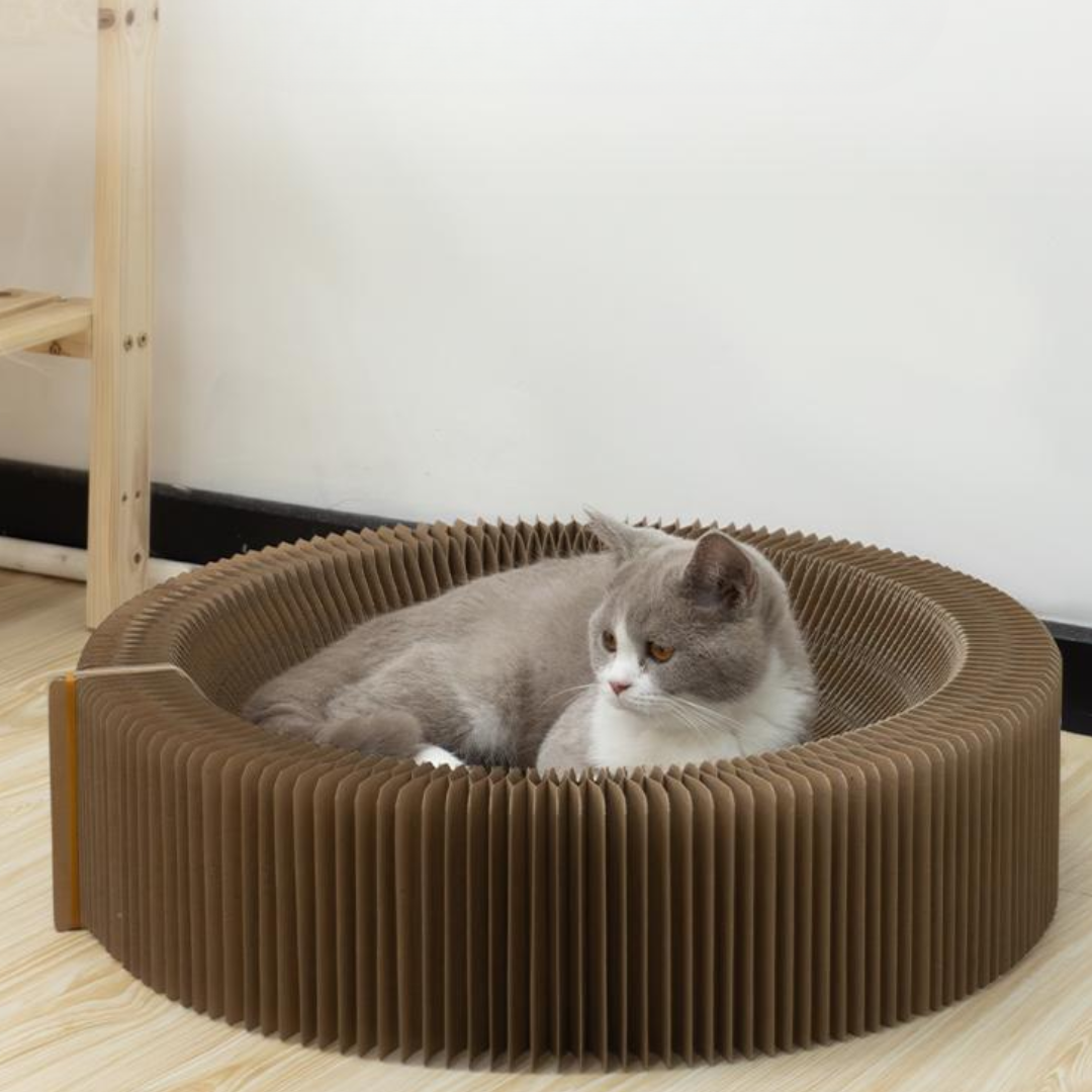 CatScratcher™ - Foldable Cat Scratching Board [Last Day Discount]