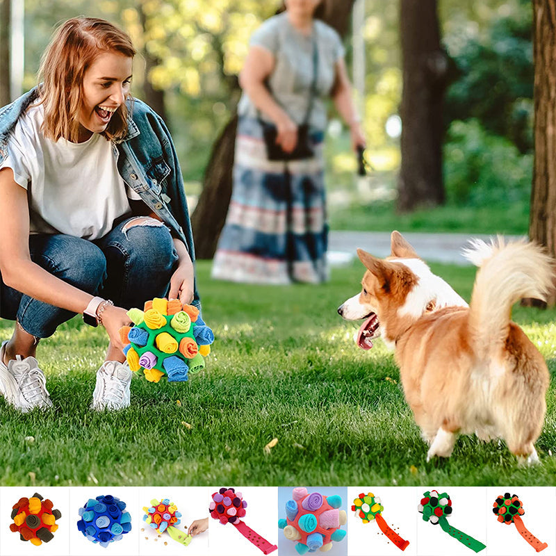 Sniffing Ball™ - Hours of fun and activity [Last day discount]