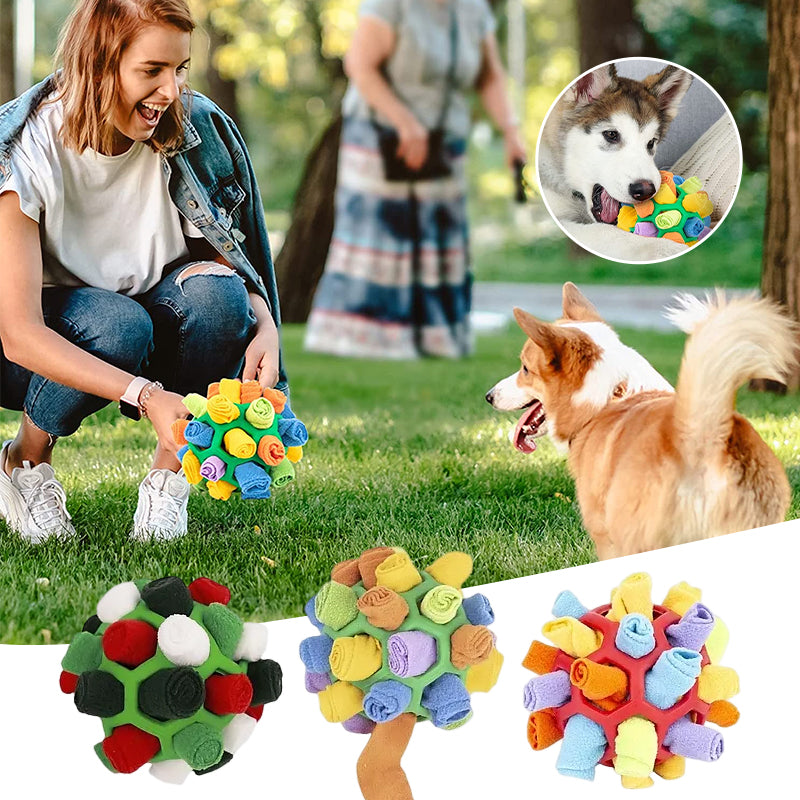 Sniffing Ball™ - Hours of fun and activity [Last day discount]