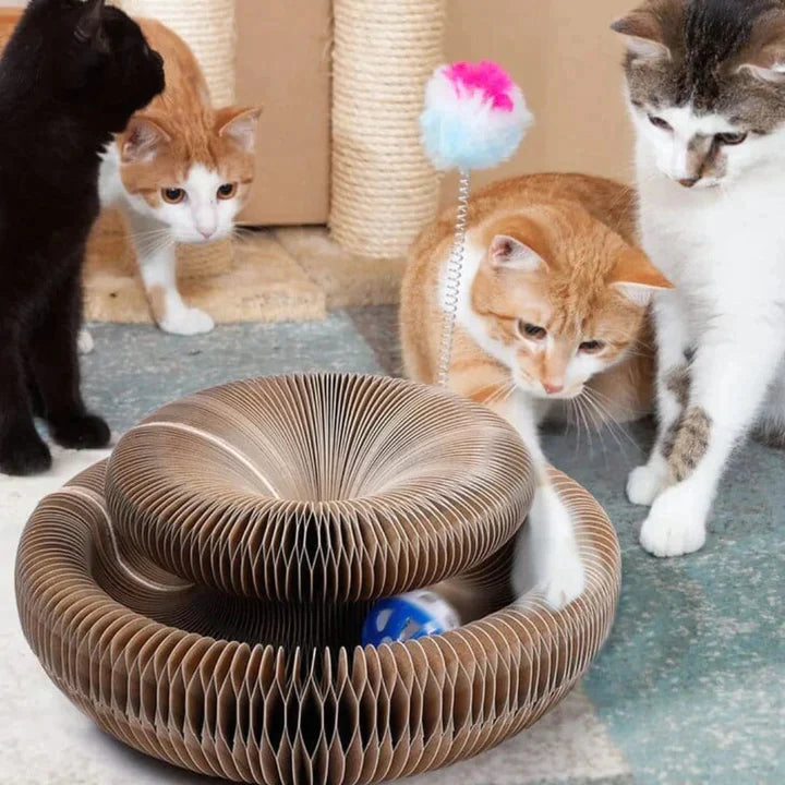 Cat toys