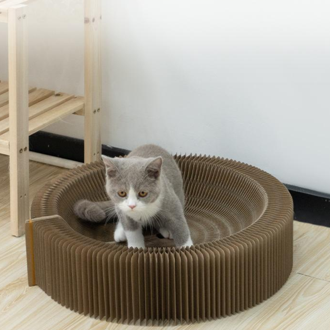 CatScratcher™ - Foldable Cat Scratching Board [Last Day Discount]