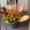 TurkeyDeko™ - Thanksgiving Turkey Decoration [Last Day Discount]