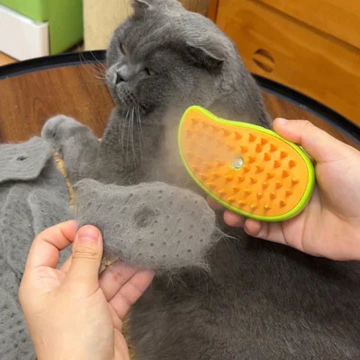 CleanBrush™ - 3-in-1 steaming cat brush