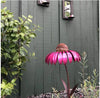 1+1 FREE | FlorAvian™ - Cone Flower Bird Feeder [Last Day Discount]