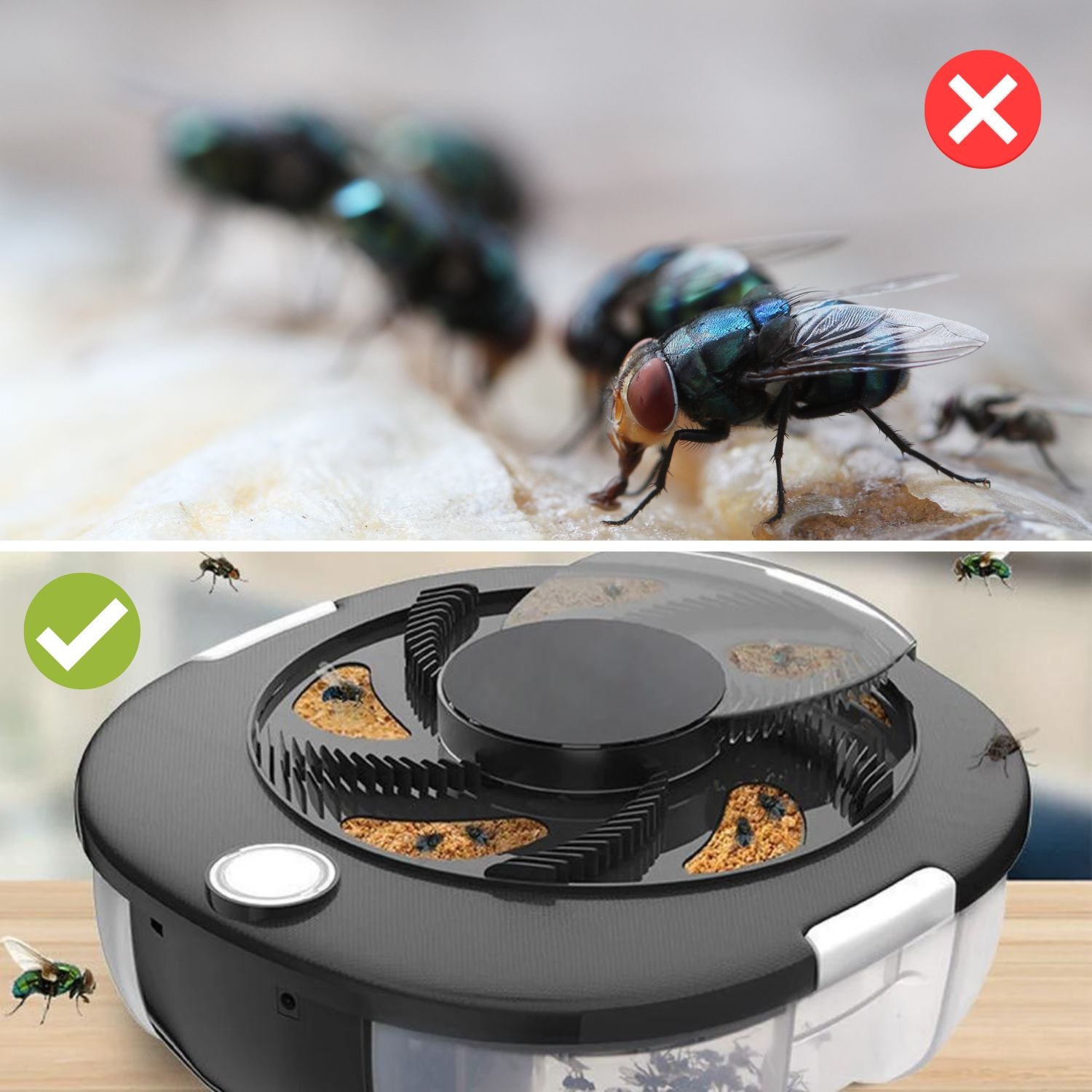 BuzzOff - Say goodbye to annoying flies!