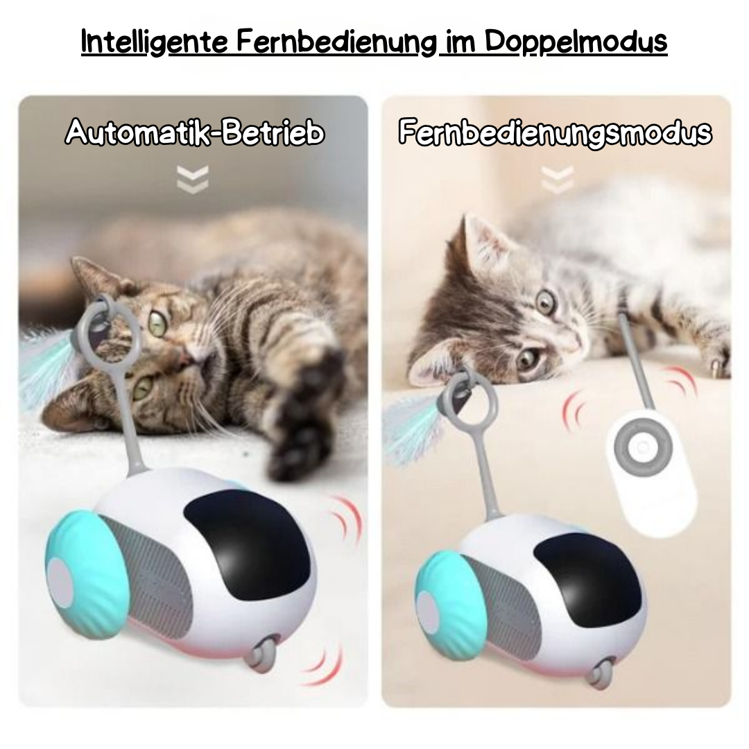 Interactive cat toys