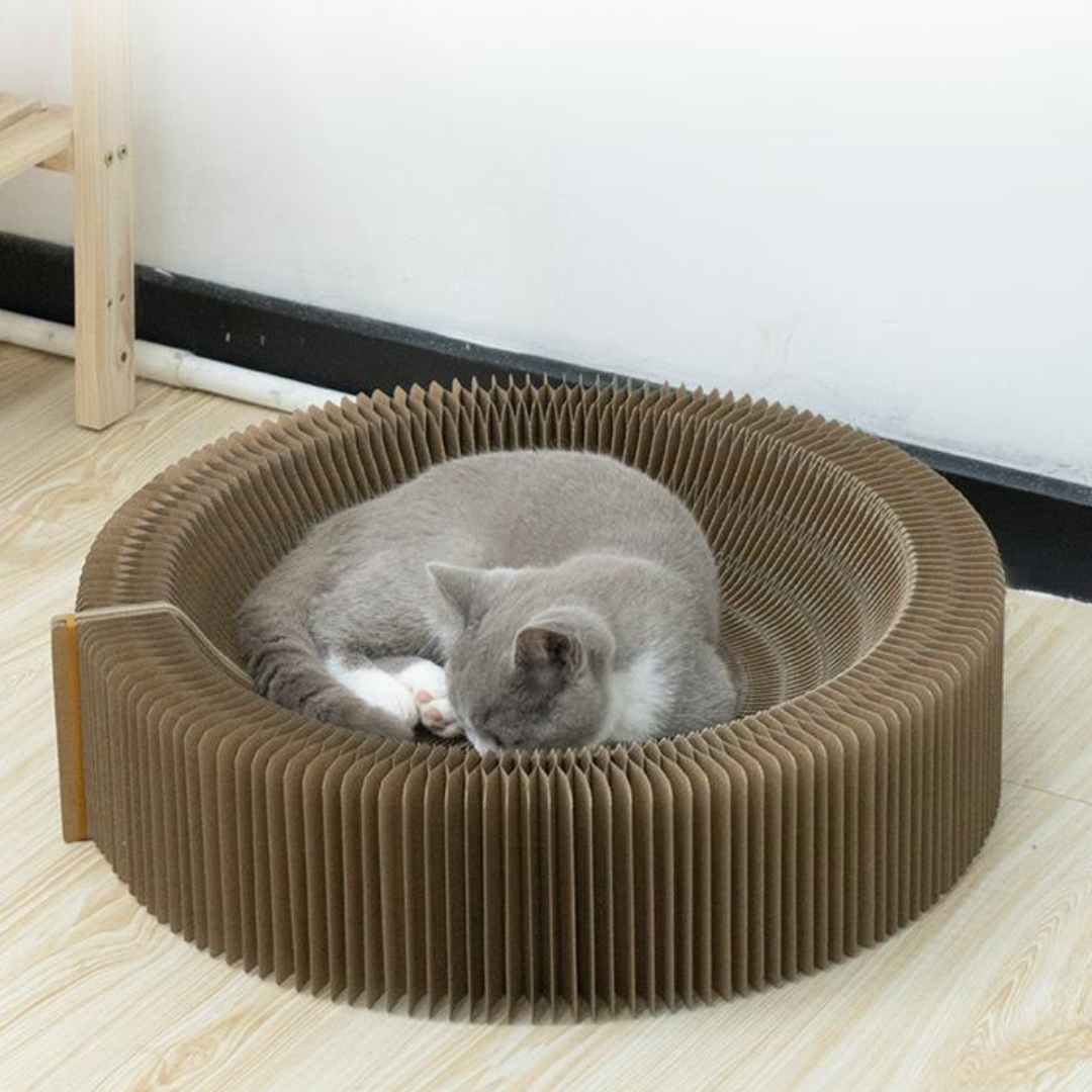 CatScratcher™ - Foldable Cat Scratching Board [Last Day Discount]