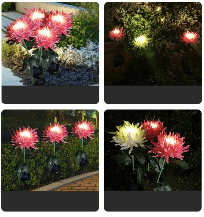 SolarGlow™ - Chrysanthemum Solar Garden Stake LED [Last Day Discount]