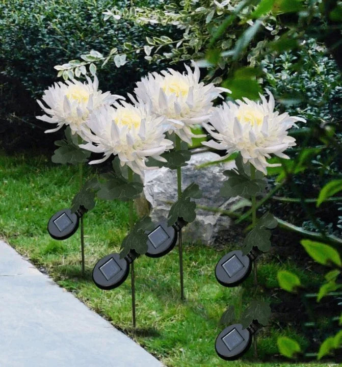 SolarGlow™ - Chrysanthemum Solar Garden Stake LED [Last Day Discount]