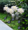 SolarGlow™ - Chrysanthemum Solar Garden Stake LED [Last Day Discount]