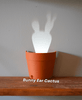 LightPlant - light projections plant pot