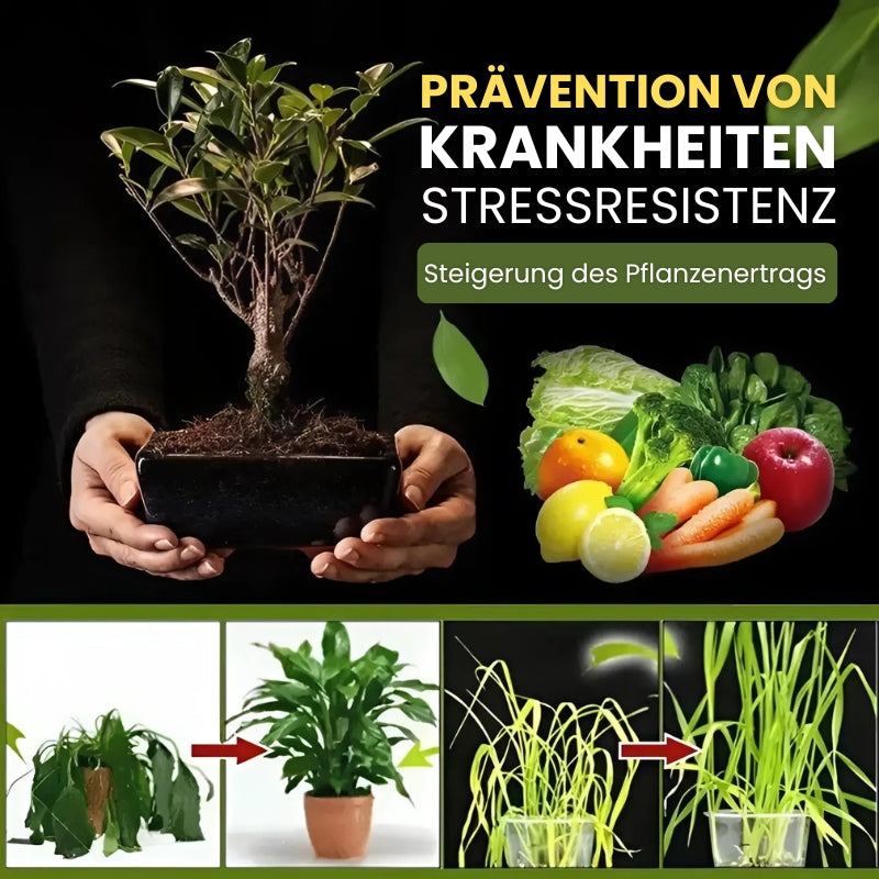 AktivPlant - Activator for garden soil [Last day discount]