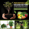 AktivPlant - Activator for garden soil [Last day discount]