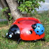 Ladybug - Charming Ladybug Flowerpot