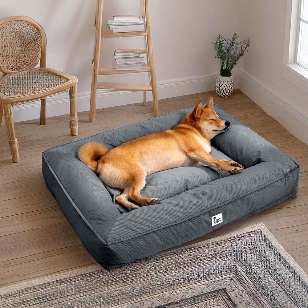 BiteProof™ - Waterproof, Bite-Resistant Pet Bed [Last Day Discount]