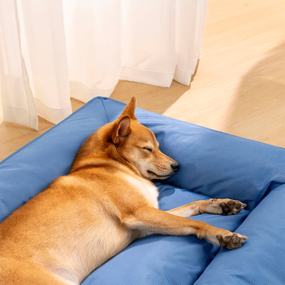 BiteProof™ - Waterproof, Bite-Resistant Pet Bed [Last Day Discount]