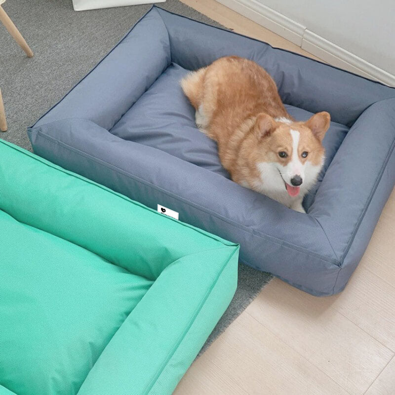 BiteProof™ - Waterproof, Bite-Resistant Pet Bed [Last Day Discount]