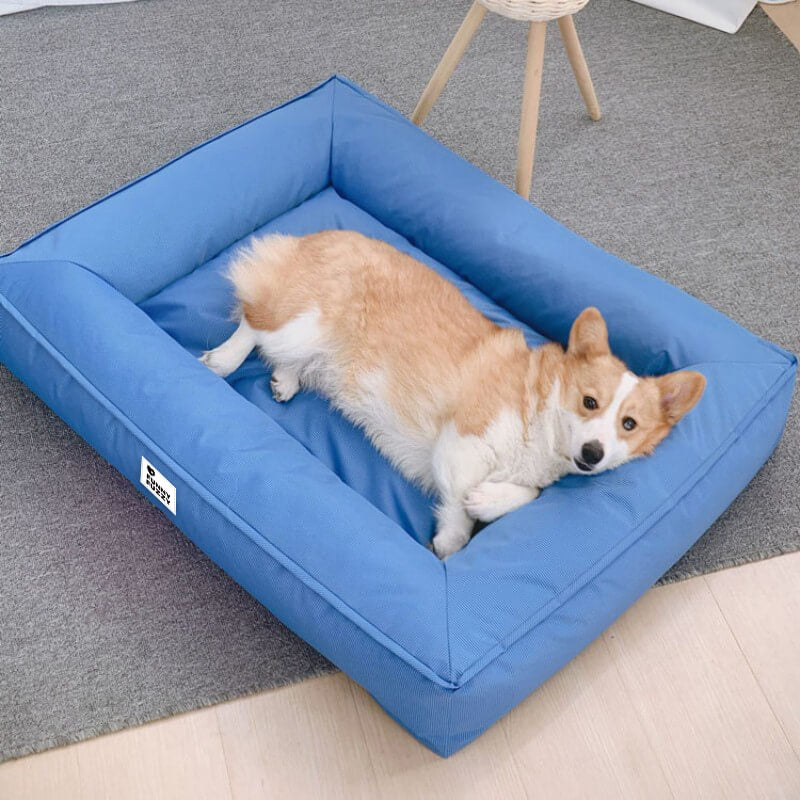 BiteProof™ - Waterproof, Bite-Resistant Pet Bed [Last Day Discount]