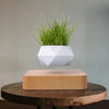 LeviPot™ - MystiGrove Floating Bonsai Pot [Last Day Discount] 