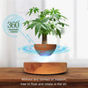 LeviPot™ - MystiGrove Floating Bonsai Pot [Last Day Discount] 