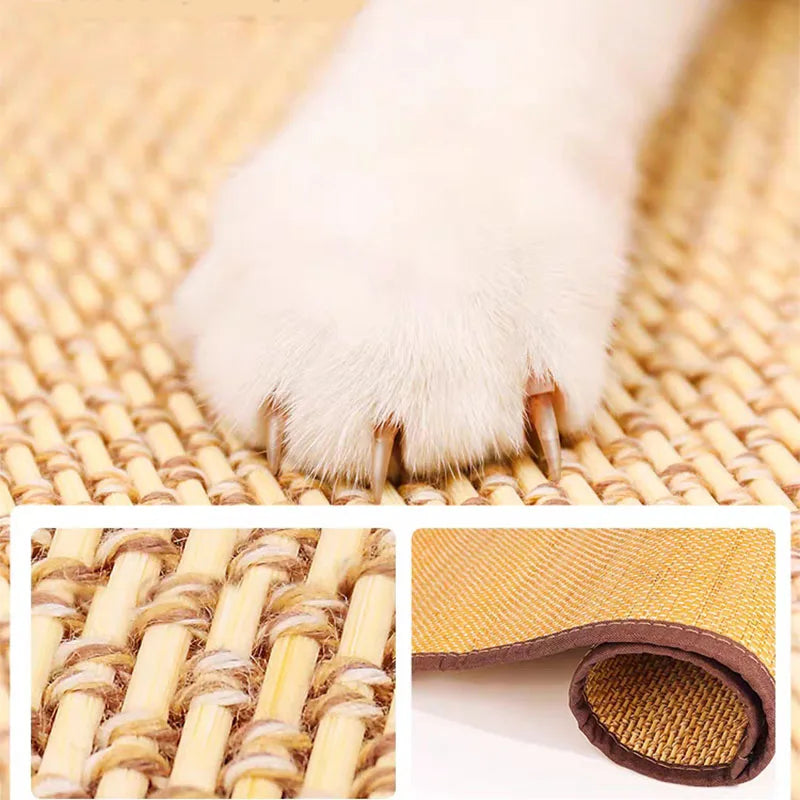 Scratchzilla - Cat Scratching Mat AutoBuff - Car Polisher (Last Day Discount)