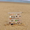 MuschelSammeln™ - Acrylic Organizer