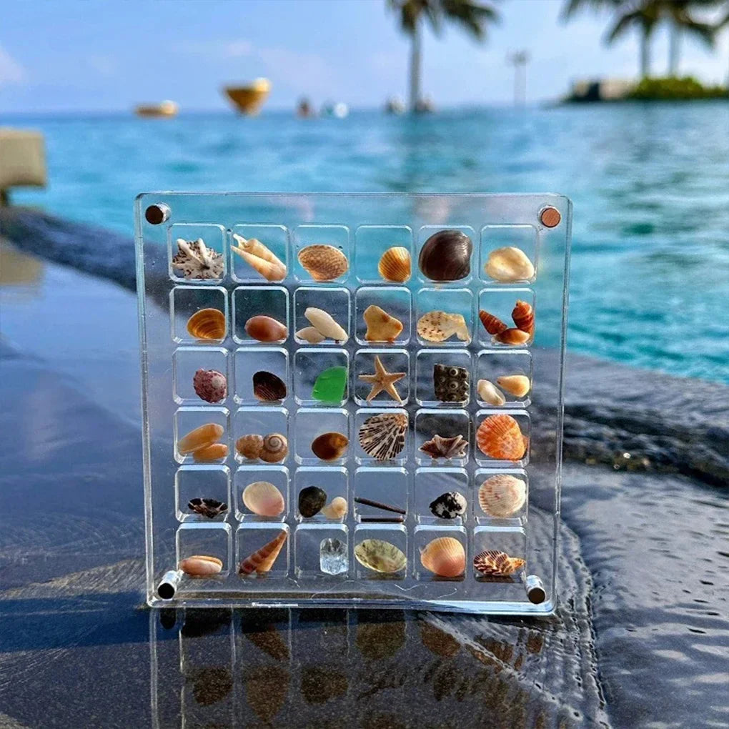 MuschelSammeln™ - Acrylic Organizer