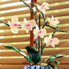 Orchid - Artificial Decorative Arrangement