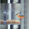 WindowFeeder™ - Window feeder for birds