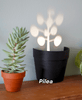 LightPlant - light projections plant pot