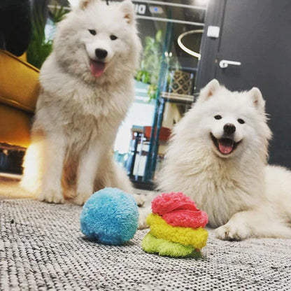 Dog toy ball