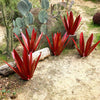 EternalAgave™ - Waterproof Eternal Agave Rustic Sculpture [Last Day Discount]