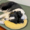 PetPillow™ - The ultimate calming companion for your pet [Last Day Discount]