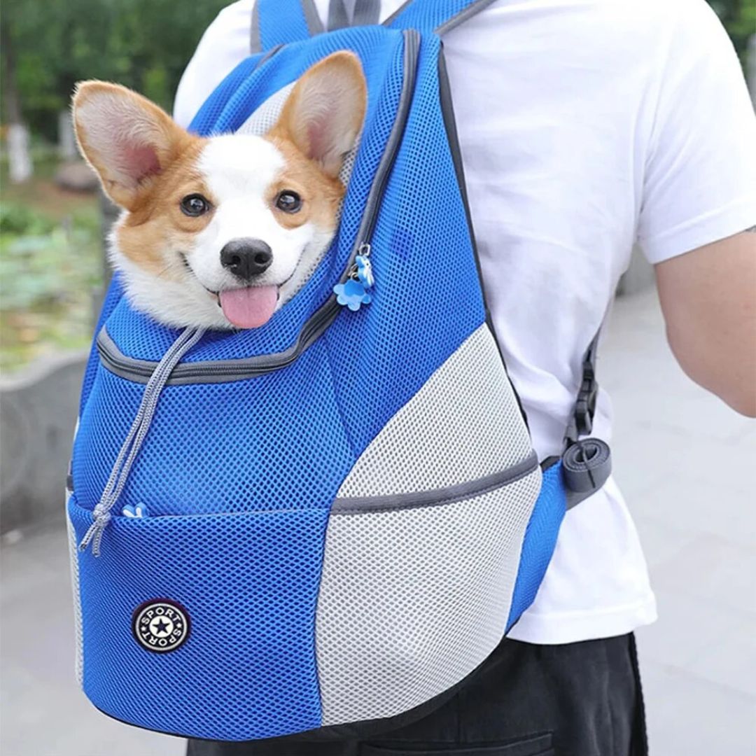 Pawsn’Go | The ultimate backpack for on the go for small dogs and cats