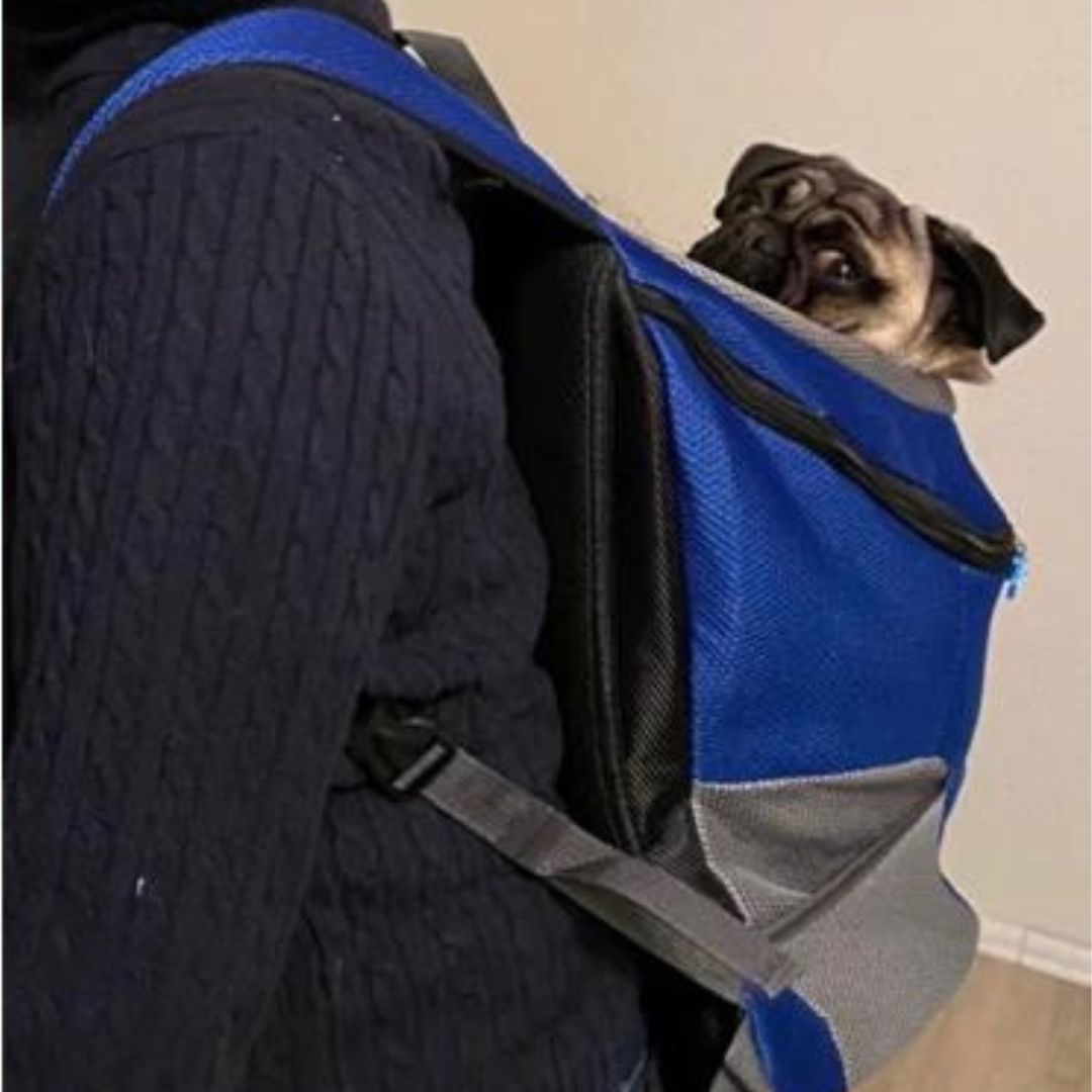 Pawsn’Go | The ultimate backpack for on the go for small dogs and cats