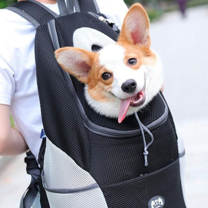 Pawsn’Go | The ultimate backpack for on the go for small dogs and cats