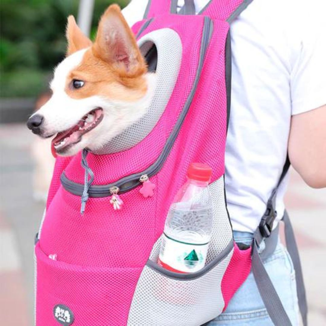 Pawsn’Go | The ultimate backpack for on the go for small dogs and cats