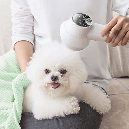 Portable 2-in-1 hair dryer for pets with a brush