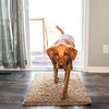 DirtGuard Mat™ - The ultimate dirt trap for floors! [Last day discount]