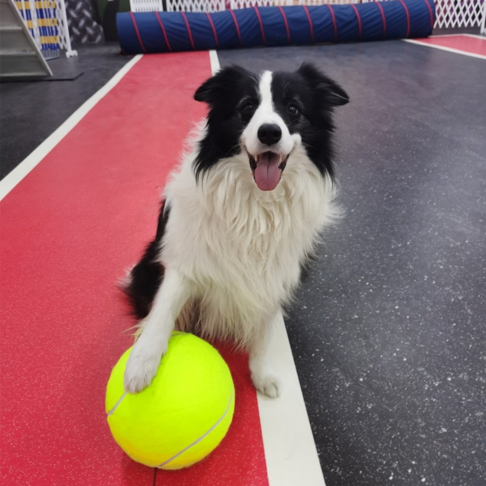 Inflatable tennis ball | Dog toy