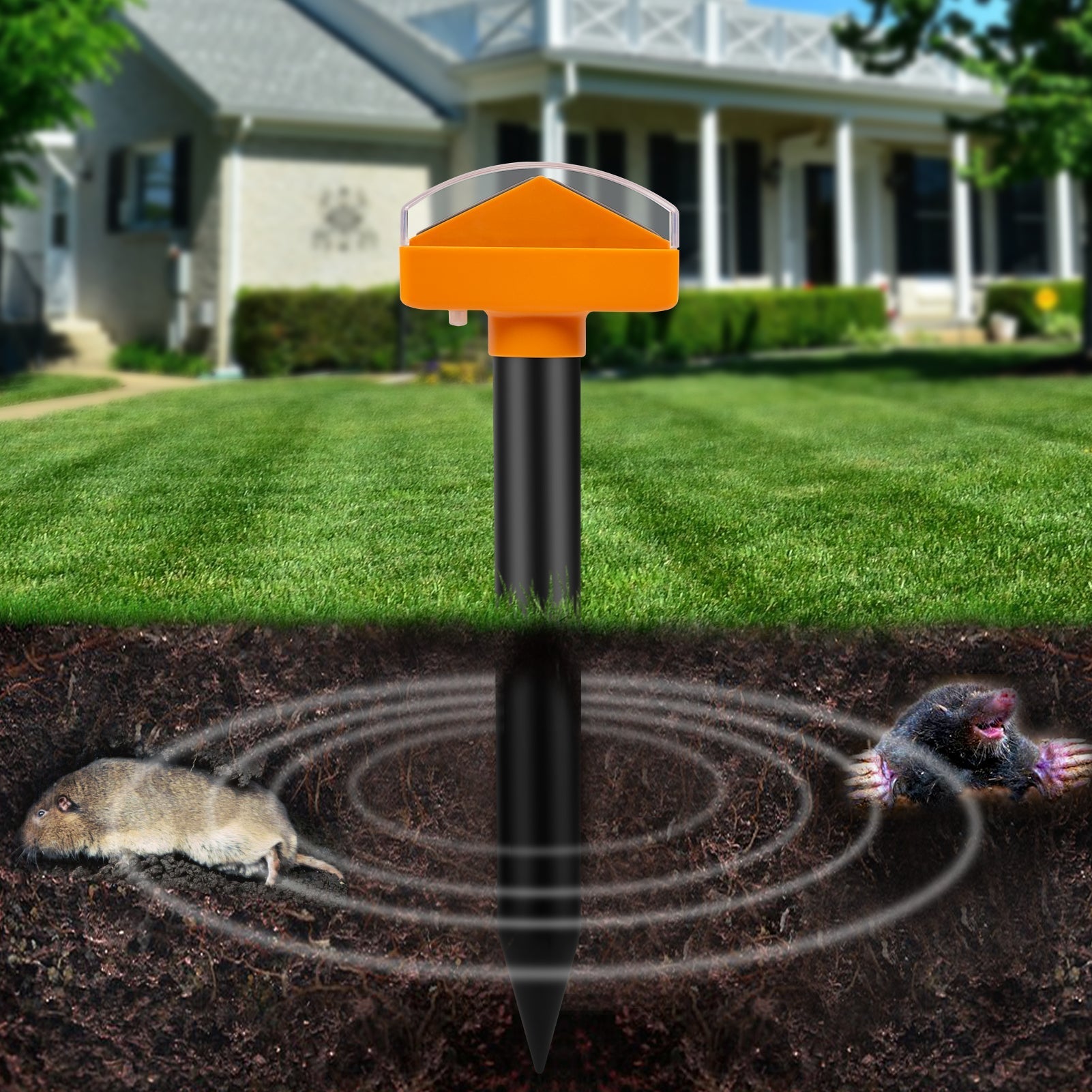 (50% off) Solar Repeller™ - No more moles or mice! [Last day discount] 